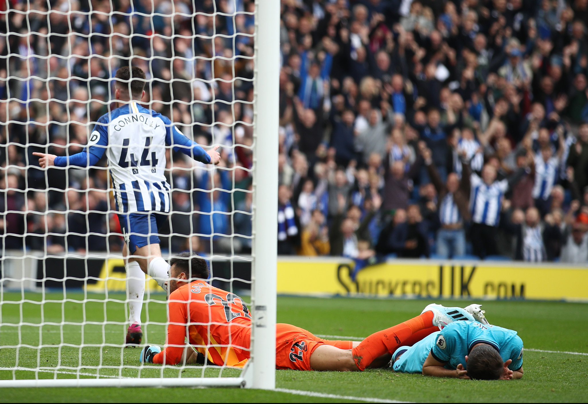 卓爾本賽季 卓爾本賽季